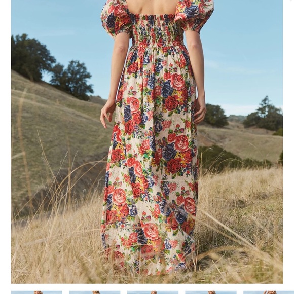 EDDY XL aurora floral maxi smocked dress with zip up back and puff sleeves - Picture 2 of 6